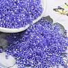 Electroplate Transparent Glass Seed Beads SEED-S042-16A-06-1