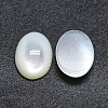 Shell Cabochons SSHEL-P015-59F-2