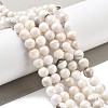 Natural Persian Jade Beads Strands G-A255-A02-02K-5