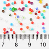 6/0 Glass Seed Beads SEED-T005-12A-2