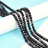 Natural Silver Obsidian Beads Strands X-G-D083-01D-4