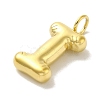 Ion Plating(IP) 304 Stainless Steel Pendants STAS-K263-47G-I-2