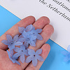 Transparent Acrylic Beads MACR-S373-127-D04-2
