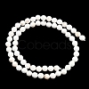 Natural Magnesite Beads Strands G-Z143-D01-6mm-3