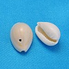 Natural Cowrie Shell Beads BSHE-S056-2
