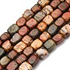 Natural Picasso Stone/Polychrome Jasper Beads Strands G-B155-D10-2