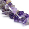 Natural Amethyst Beads Strands X-G-P332-07-2