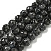Natural Larvikite Beads Strands G-E571-A09-02-1