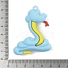 PVC Pendants FIND-R002-03B-3