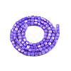 Natural Freshwater Shell Beads Strands SHEL-N003-33-A02-2
