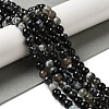 Dyed & Heated Natural Fire Crackle Agate Beads Strands G-P539-B01-10-2