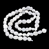 Natural Rainbow Moonstone Beads Strands G-Q961-27-6
