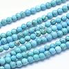 Natural Magnesite Beads Strands TURQ-G148-07-4mm-1