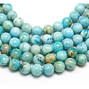 Natural Gemstone Hemimorphite Round Beads Strands G-L145-10mm-01-3