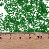 15/0 Transparent Czech Glass Seed Beads SEED-N004-004-23-6
