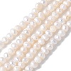 Natural Cultured Freshwater Pearl Beads Strands PEAR-I007-07B-02A-2