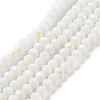 Electroplate Opaque Solid Color Glass Beads Strands EGLA-A034-P4mm-L17-1