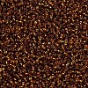 11/0 Silver Lined Grade A Transparent Glass Seed Beads X-SEED-Q007-F54-2