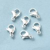 304 Stainless Steel Lobster Claw Clasps STAS-R120-02C-S-2