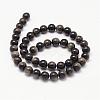Natural Golden Sheen Obsidian Beads Strands G-K115-13-8mm-2