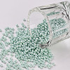 11/0 FGB Grade A Baking Paint Glass Seed Beads X-SEED-N001-A-1031-1