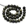 Natural Golden Sheen Obsidian Beads Strands G-S150-20-10mm-2