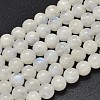 Round Grade A Natural Rainbow Moonstone Bead Strands G-M304-06-7.5mm-1