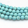 Natural Magnesite Beads Strands TURQ-G103-8mm-01-2