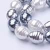 Shell Pearl Beads Strands BSHE-P030-03C-3