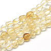 Natural Citrine Beads Strands X-G-R445-8x10-16-1