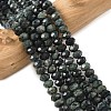 Natural Kambaba Jasper Bead Strands G-D344-A06-1