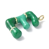 Brass Enamel Pendants KK-E093-03G-E-01-2