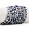 Natural Sodalite Beads Strands G-T106-211-3