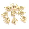 Alloy Pendants LS-X-TIBEP-A040-015G-NR-1
