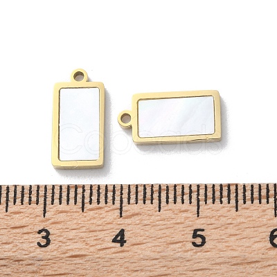 Ion Plating(IP) 304 Stainless Steel Charms STAS-Z099-02G-03-1