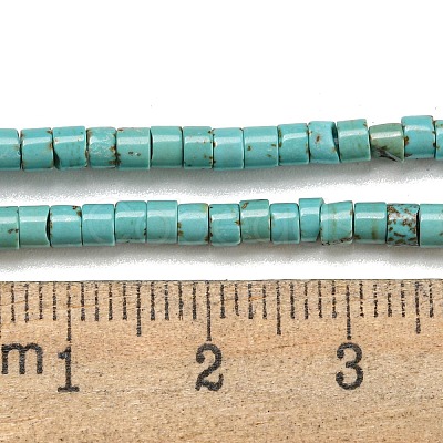 Natural Turquoise Beads Strands X-G-C084-D10-02-1