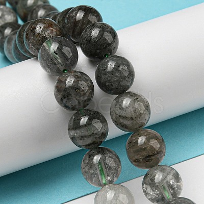 Natural Lodolite Quartz Beads Strands G-R494-A15-04-1