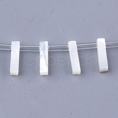 Natural Sea Shell Beads SHEL-T012-60I-1