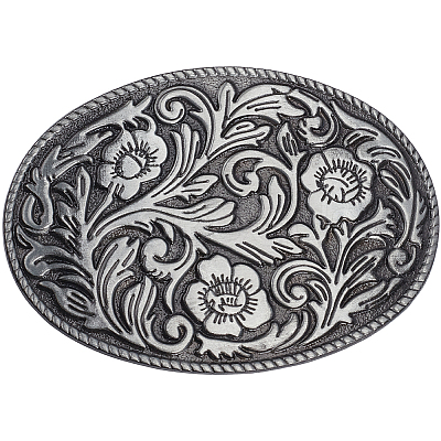 1Pc Zinc Alloy Buckles AJEW-GF0012-89AS-1