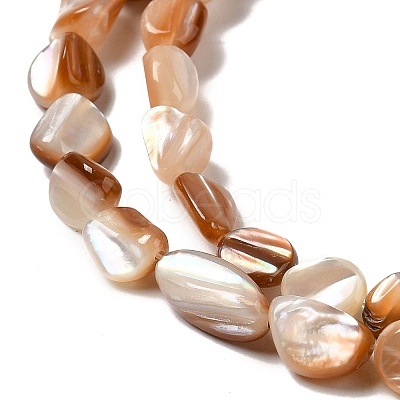 Natural Sea Shell Beads Strands SHEL-K006-16A-1