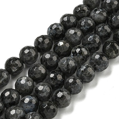 Natural Larvikite Beads Strands G-E571-A09-02-1