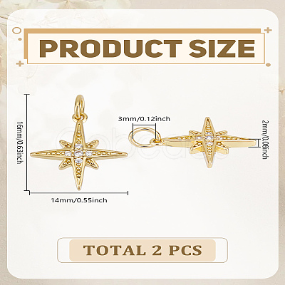 2Pcs Brass Micro Pave Grade AAA Cubic Zirconia Pendants ZIRC-LP0001-26G-1