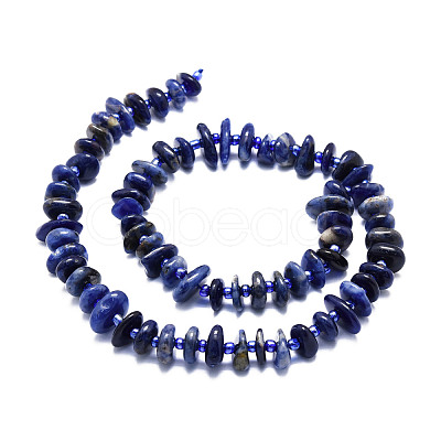 Natural Sodalite Beads Strands G-E569-J22-1