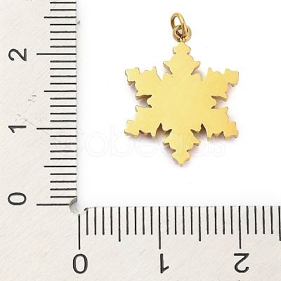 304 Stainless Steel Rhinstone Pendants X-FIND-I062-01G-03-1
