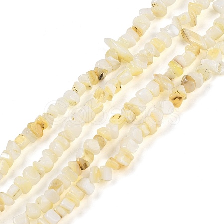 Natural Freshwater Shell Beads Strands BSHE-G036-02-1