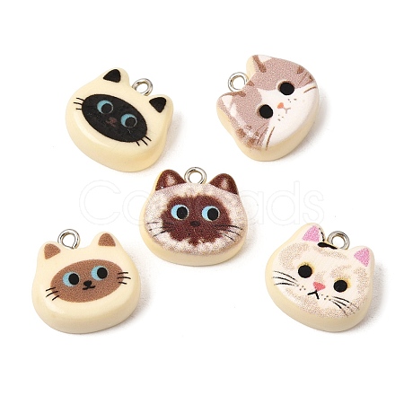 Printed Opaque Resin Pendants RE-CBAD0A2-10P-1