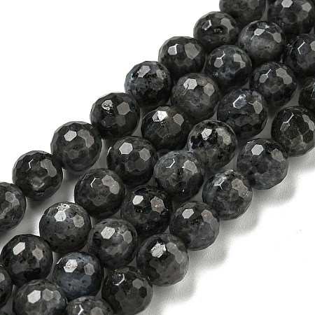 Natural Larvikite Beads Strands G-E571-A09-02-1