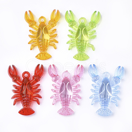 Transparent Acrylic Pendants X-TACR-S149-02-1