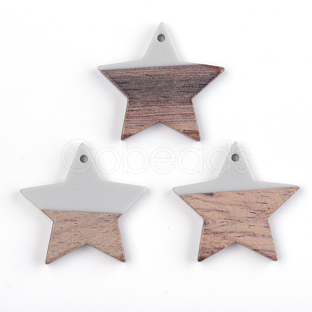 Resin & Walnut Wood Pendants RESI-T023-23A-1