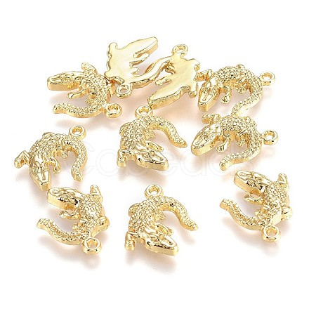 Alloy Pendants LS-X-TIBEP-A040-015G-NR-1